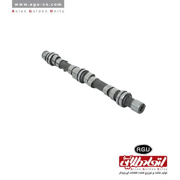 Camshaft for carbureted Pride